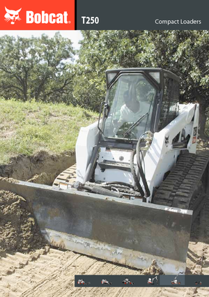 Chargeurs compacts Bobcat T 250 AHC