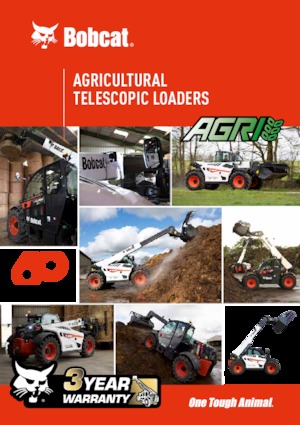 Chariot Élévateur Télescopique Bobcat TL43.80HF AGRI 130 IV