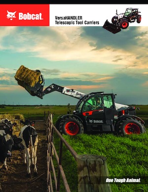 Chariot Élévateur Télescopique Bobcat VersaHANDLER V519