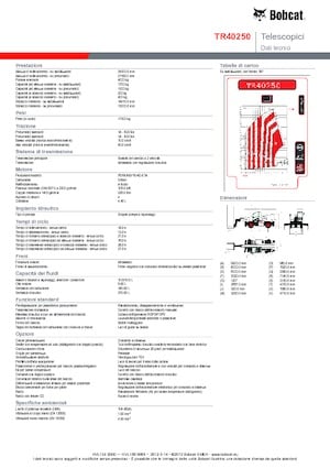Chariot Élévateur avec châssis tounant Bobcat TR40250