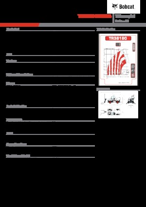 Chariot Élévateur avec châssis tounant Bobcat TR38160EVO IIIB