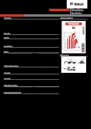 Chariot Élévateur avec châssis tounant Bobcat TR40250EVO IIIB