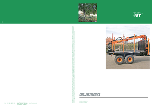 Grues de chargement à bois Guerra 45 TW 1