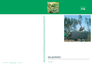 Grues de chargement à bois Guerra 77 AY 1