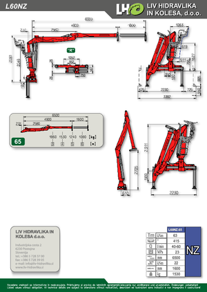 Grues de chargement à bois LIV L 60 NZ 65