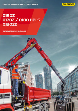 Grues de chargement à bois Epsilon Q 130 ZD 96