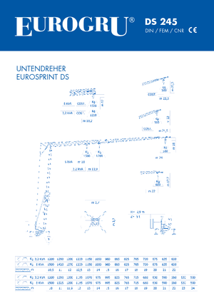 Grue à tour - tourneur inférieur - sur véhicule Eurogru ® DS 245