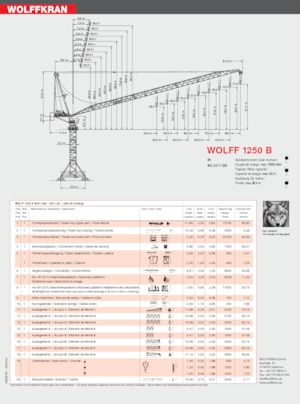Grues à tour  - tourneur supérieur- flèche épingle Wolffkran 1250 B