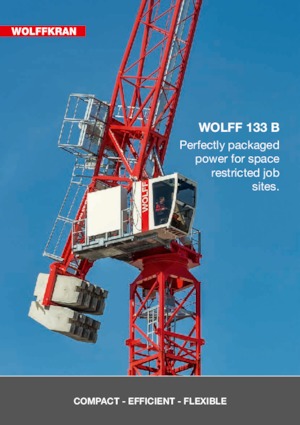 Grues à tour  - tourneur supérieur- flèche épingle Wolffkran 133.8 B 