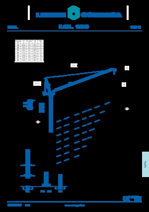 Grues à tour  - tourneur supérieur- flèche épingle Comansa LCL 190