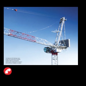 Grues à tour  - tourneur supérieur- flèche épingle Raimondi LR273