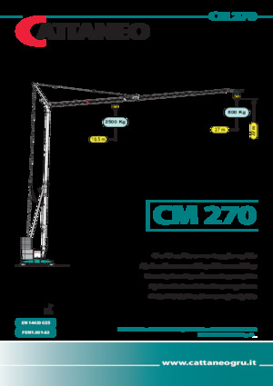 Grues à tour - tourneur inférieur Cattaneo CM 270