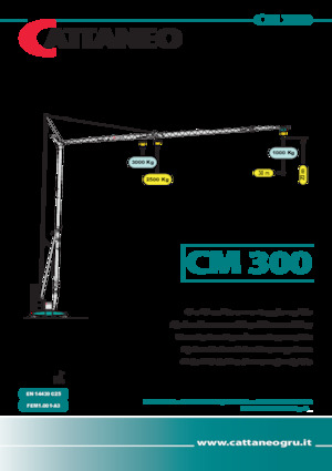 Grues à tour - tourneur inférieur Cattaneo CM 300