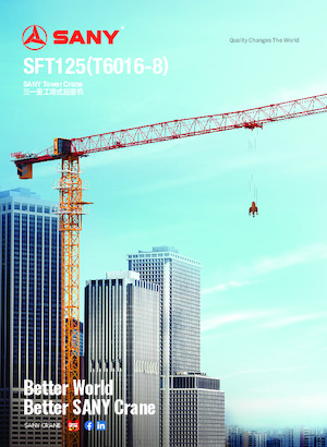 Grues à tour - tourneur supérieur Sany SFT125