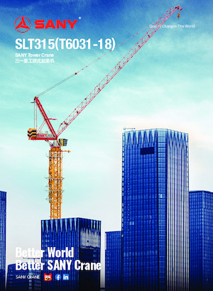 Grues à tour - tourneur supérieur Sany SLT315