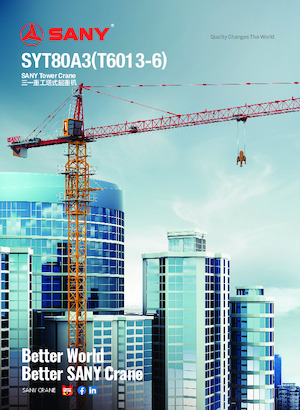 Grues à tour - tourneur supérieur Sany SYT80A3 
