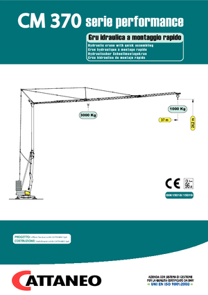 Grues à tour - tourneur inférieur Cattaneo CM 370