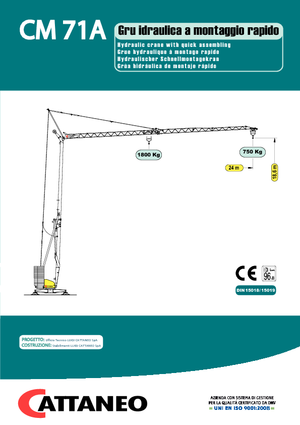 Grues à tour - tourneur inférieur Cattaneo CM 71A