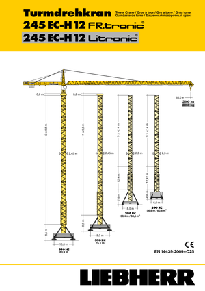 Grues à tour - tourneur supérieur Liebherr 245 EC-H 12 Litronic