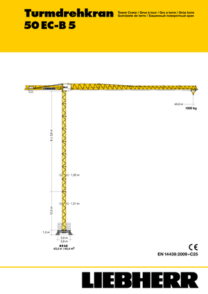 Grues à tour - tourneur supérieur Liebherr 50 EC-B 5