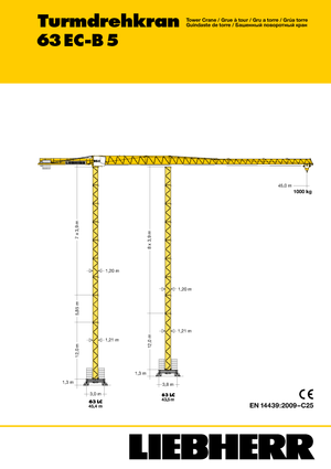 Grues à tour - tourneur supérieur Liebherr 63 EC-B 5