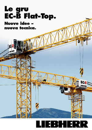 Grues à tour - tourneur supérieur Liebherr 250 EC-B 12 Litronic