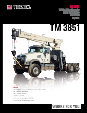 Grues mobiles sur camion TEREX CRANES TM 3851