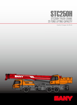Grues télescopiques  monté sur camion Sany STC250H