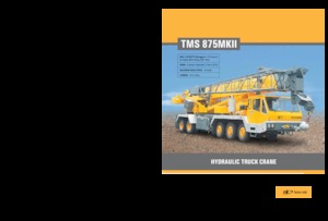 Grues télescopiques  monté sur camion Til TMS 875 MK II