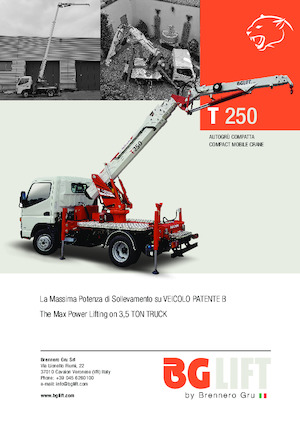 Grues télescopiques  monté sur camion BG Lift T 250