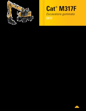 Excavatrice sur pneus Caterpillar M317F