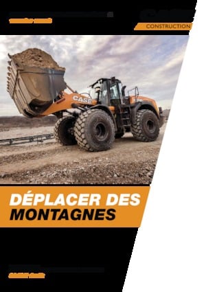 Chargeuses sur pneus Case 1021G