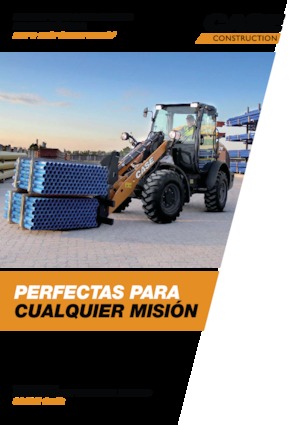 Chargeuses sur pneus Case 21F