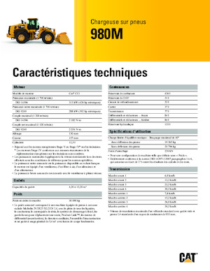 Chargeuses sur pneus Caterpillar 980M