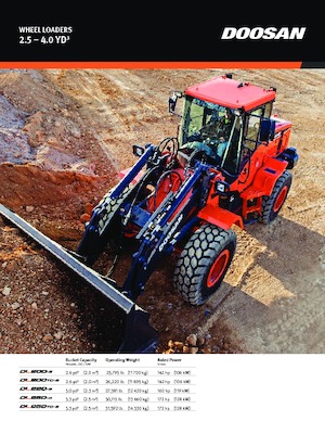 Chargeuses sur pneus Doosan DL200-5