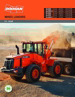 Chargeuses sur pneus Doosan DL 250