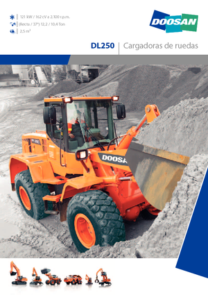 Chargeuses sur pneus Doosan DL 250