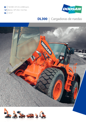 Chargeuses sur pneus Doosan DL 300