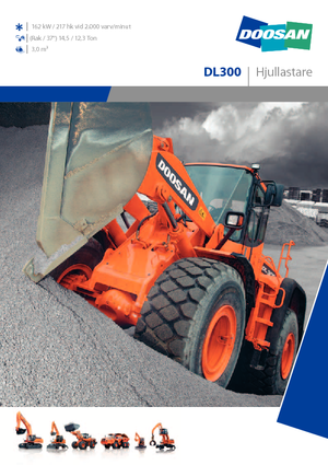 Chargeuses sur pneus Doosan DL 300
