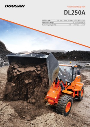 Chargeuses sur pneus Doosan DL250A