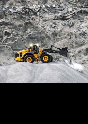 Chargeuses sur pneus Volvo L180 
