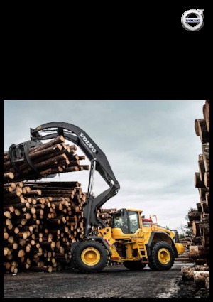 Chargeuses sur pneus Volvo L180H High-Lift