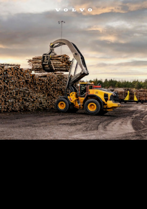 Chargeuses sur pneus Volvo L200 High Lift