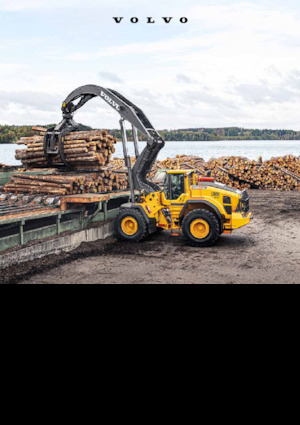 Chargeuses sur pneus Volvo L200H High Lift 
