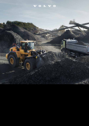 Chargeuses sur pneus Volvo L260H 