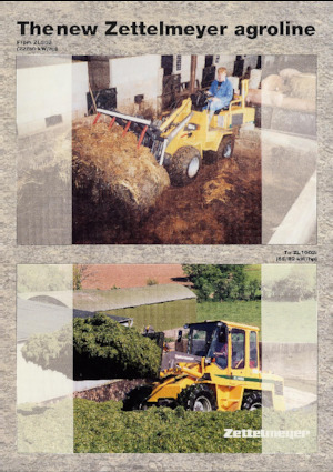 Chargeuses sur pneus Zettelmeyer ZL 602 S B