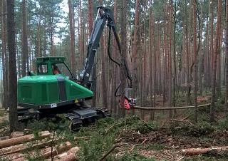 Machines forestières Abatteuse forestière Neuson Forest 103HV