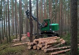 Machines forestières Abatteuse forestière Neuson Forest 103HV