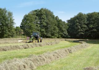 Andaineurs rotatifs Krone Swadro 42