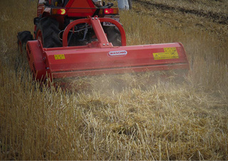 Broyeurs Maschio Barbi 175